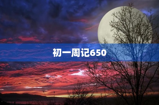 初一周记650