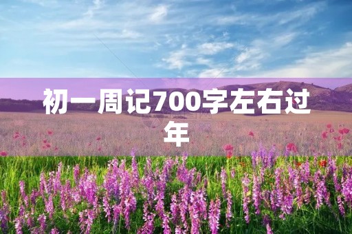 初一周记700字左右过年 初一周记700字左右过年