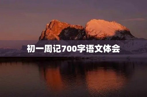 初一周记700字语文体会 初一周记700字语文体会
