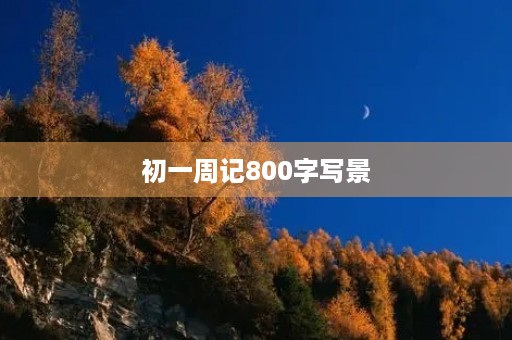 初一周记800字写景