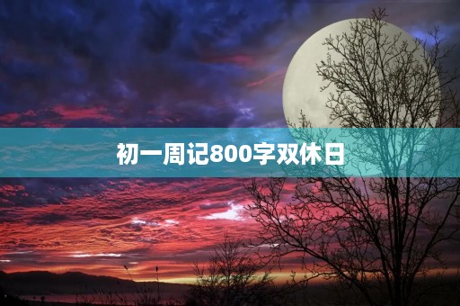 初一周记800字双休日