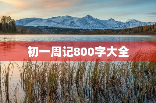 初一周记800字大全
