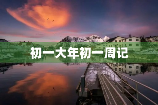 初一大年初一周记