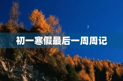 初一寒假最后一周周记