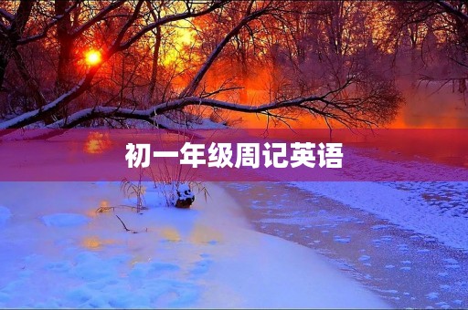 初一年级周记英语