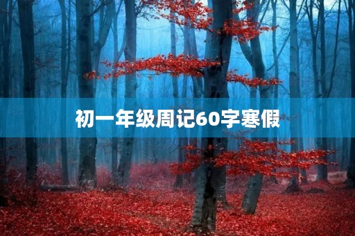 初一年级周记60字寒假