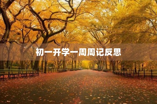 初一开学一周周记反思