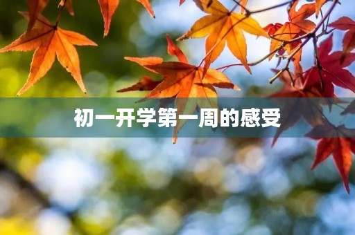 初一开学第一周的感受