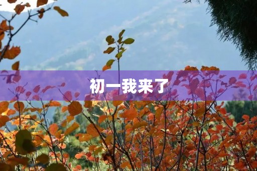 初一我来了