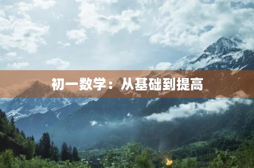 初一数学:从基础到提高 初一数学:从基础到提高