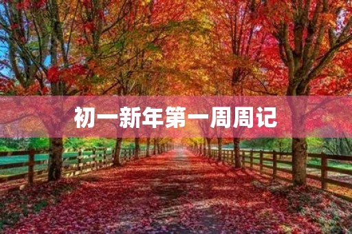 初一新年第一周周记 初一新年第一周周记
