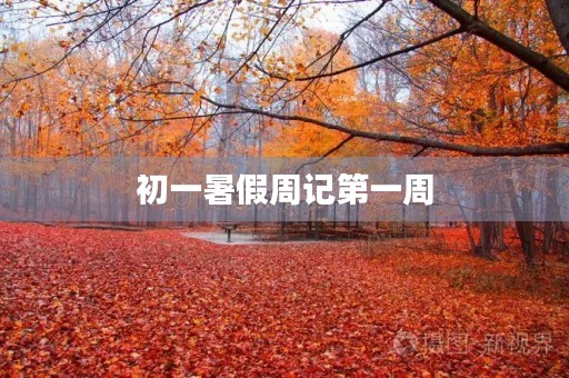 初一暑假周记第一周
