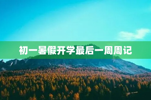 初一暑假开学最后一周周记