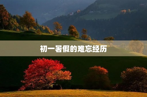 初一暑假的难忘经历 初一暑假的难忘经历