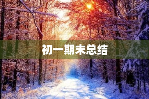初一期末总结