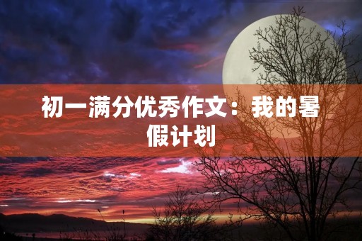 初一满分优秀作文：我的暑假计划