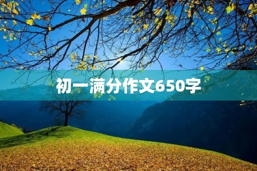 初一满分作文650字