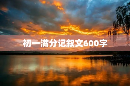 初一满分记叙文600字 初一满分记叙文600字