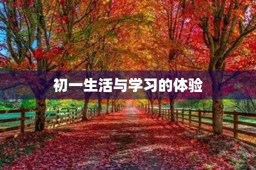 初一生活与学习的体验