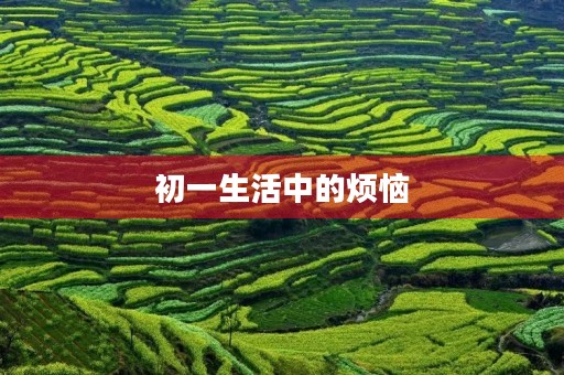 初一生活中的烦恼