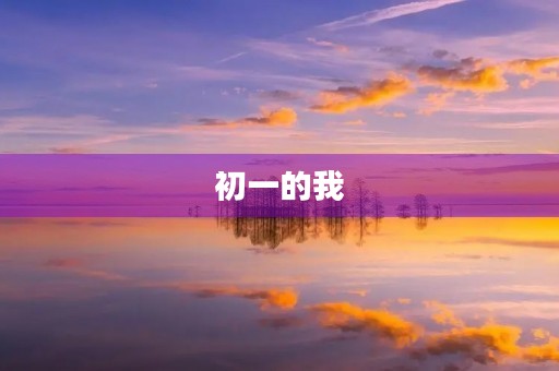 初一的我