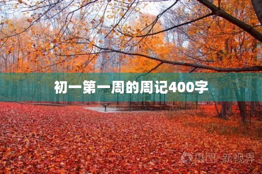 初一第一周的周记400字