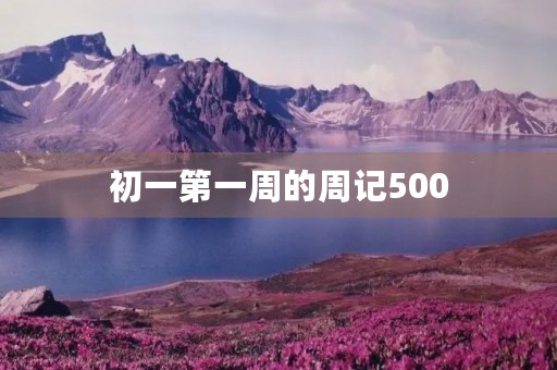 初一第一周的周记500