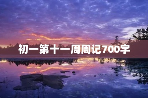 初一第十一周周记700字
