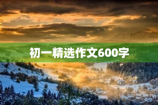 初一精选作文600字