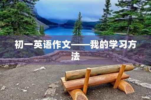 初一英语作文——我的学习方法 初一英语作文——我的学习方法