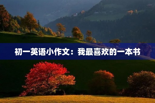 初一英语小作文：我最喜欢的一本书