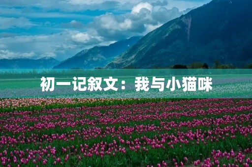 初一记叙文:我与小猫咪 初一记叙文:我与小猫咪