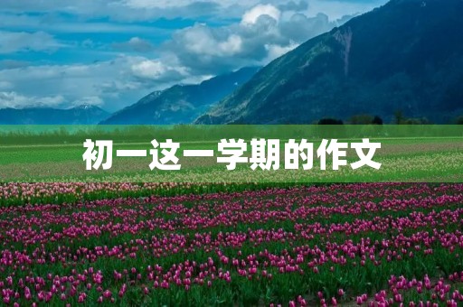 初一这一学期的作文
