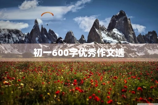 初一600字优秀作文选 初一600字优秀作文选