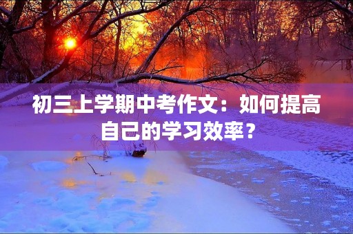 初三上学期中考作文:如何提高自己的学习效率? 初三上学期中考作文:如何提高自己的学习效率?