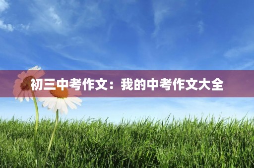 初三中考作文:我的中考作文大全 初三中考作文:我的中考作文大全