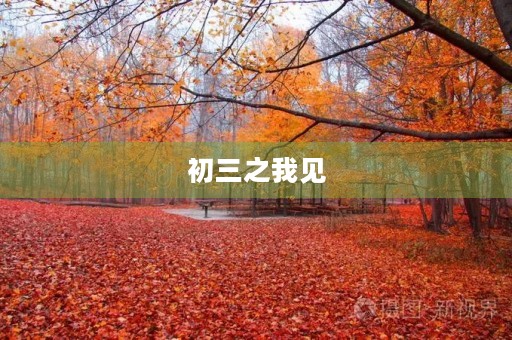 初三之我见
