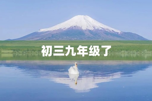 初三九年级了,我的心情 初三九年级了,我的心情