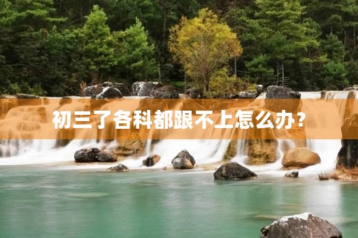 初三了各科都跟不上怎么办？