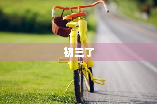 初三了，我该如何写好作文