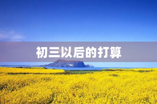 初三以后的打算