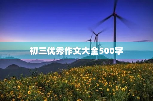 初三优秀作文大全500字