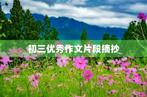 初三优秀作文片段摘抄 初三优秀作文片段摘抄