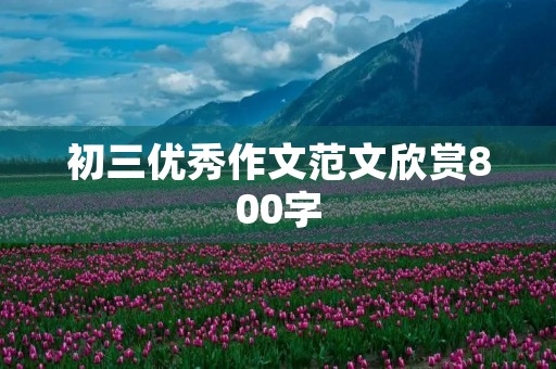 初三优秀作文范文欣赏800字