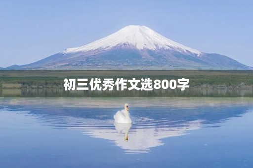 初三优秀作文选800字