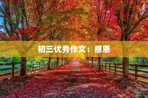 初三优秀作文:感恩 初三优秀作文:感恩