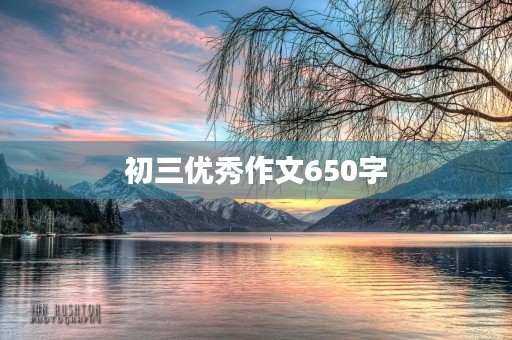 初三优秀作文650字 初三优秀作文650字