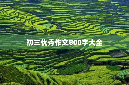 初三优秀作文800字大全