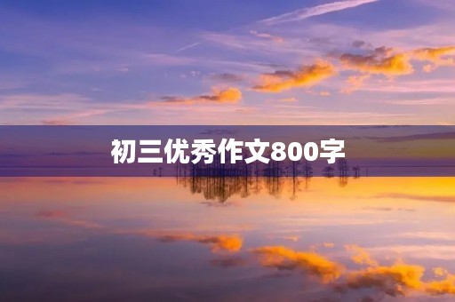 初三优秀作文800字