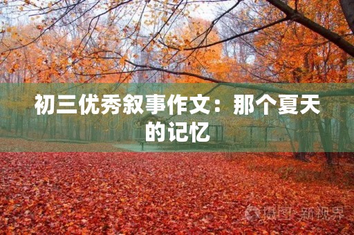 初三优秀叙事作文:那个夏天的记忆 初三优秀叙事作文:那个夏天的记忆